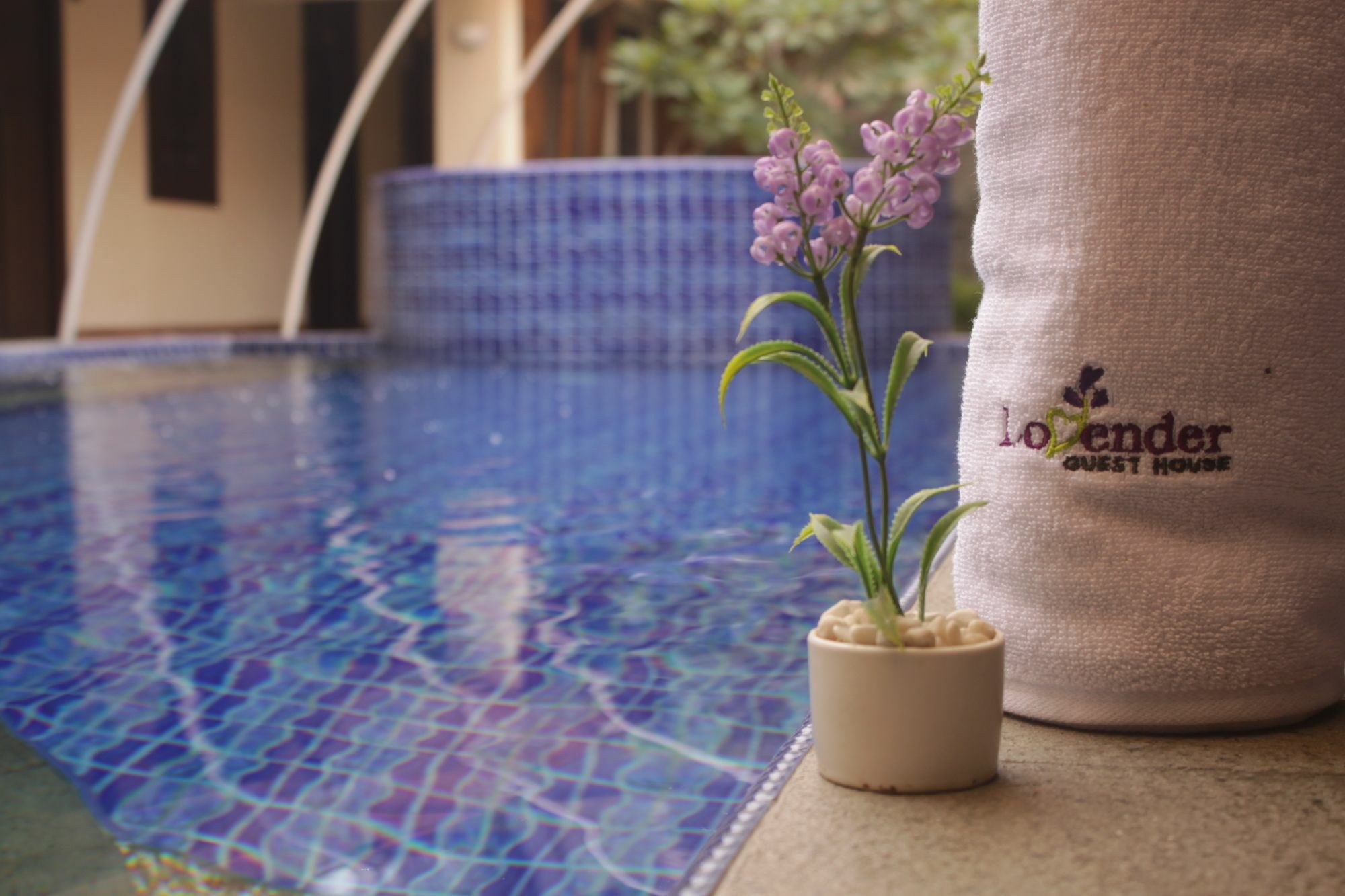 Lovender Guesthouse Malang Exterior foto