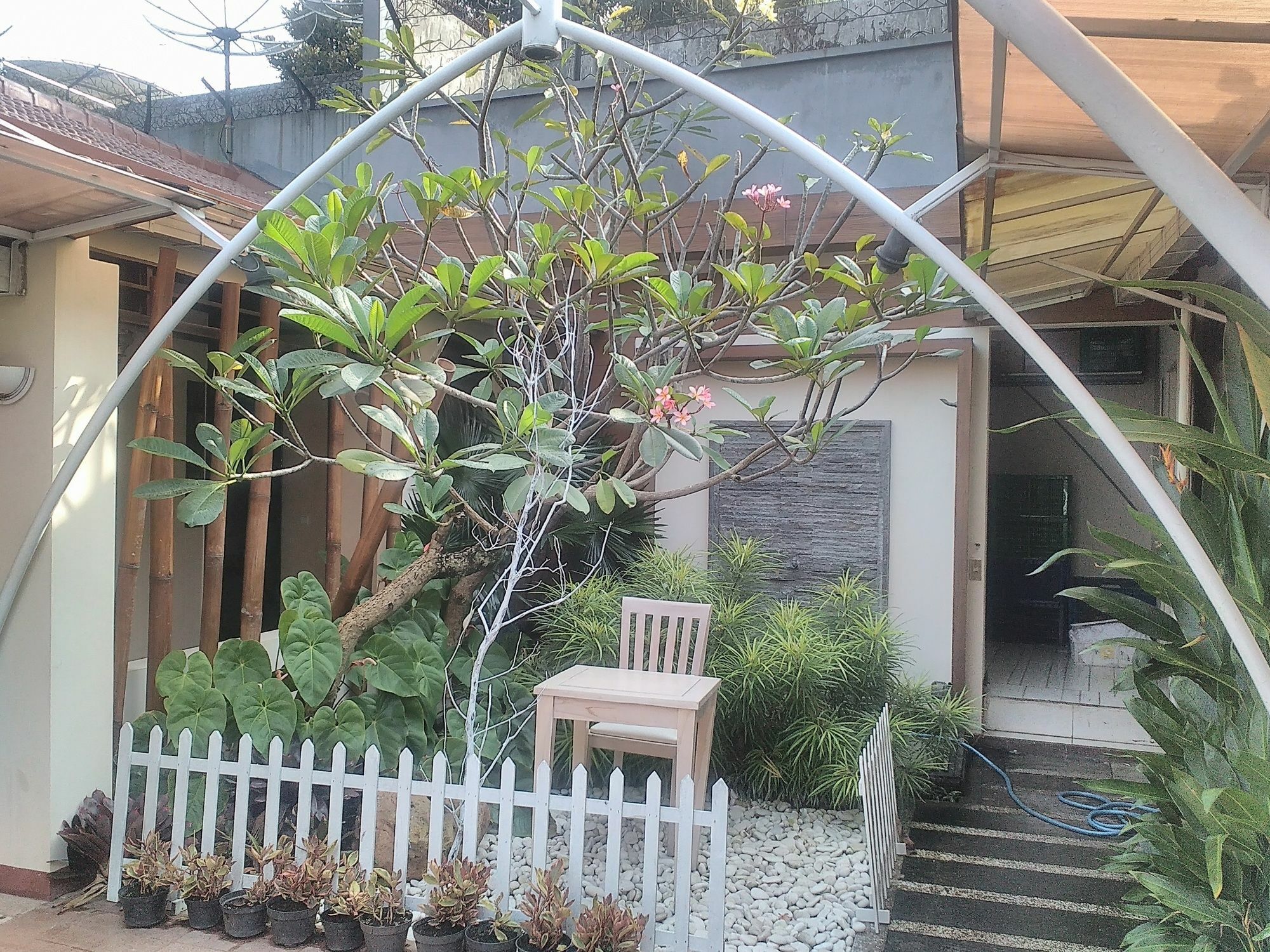 Lovender Guesthouse Malang Exterior foto